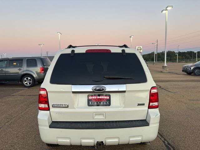 2011 Ford Escape Limited photo 3