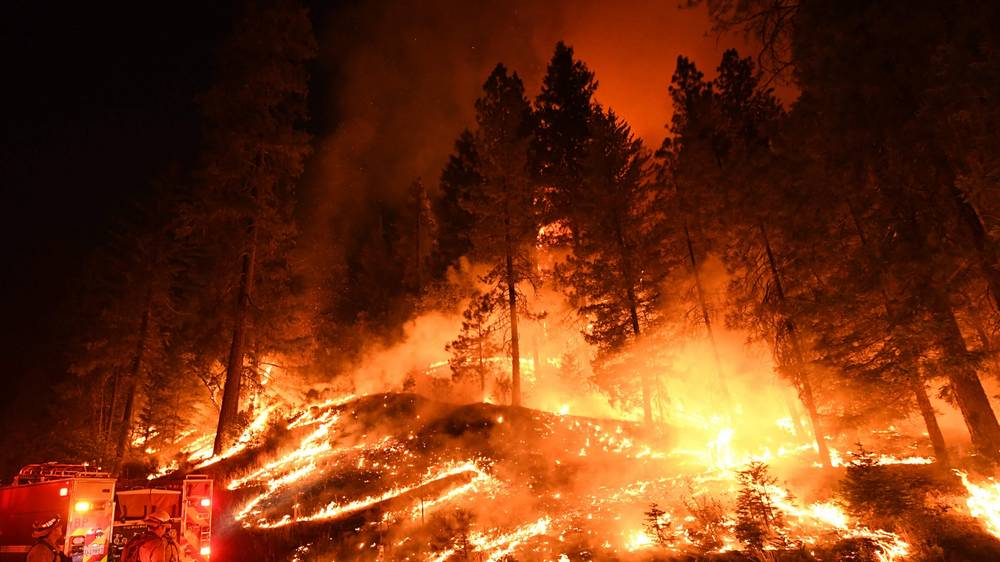 cali-fire-42.jpg
