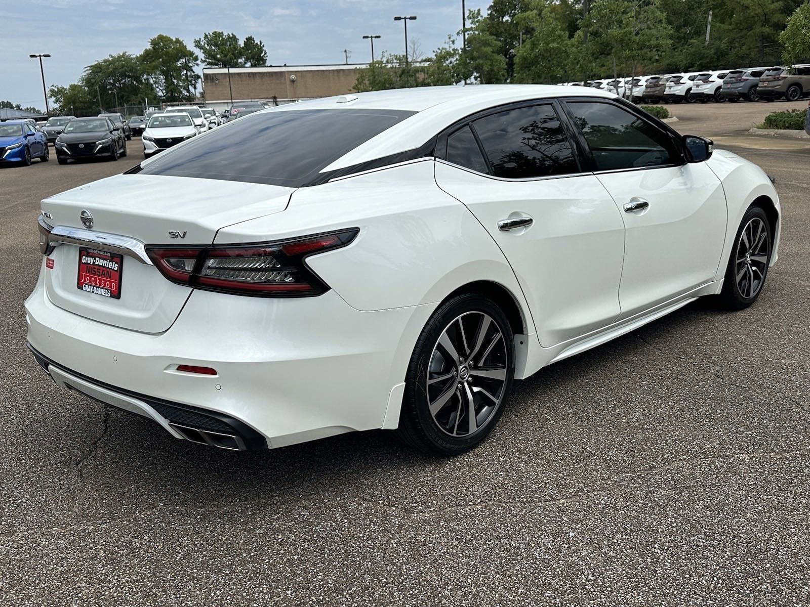 Used 2021 Nissan Maxima SV with VIN 1N4AA6CV6MC510715 for sale in Jackson, MS