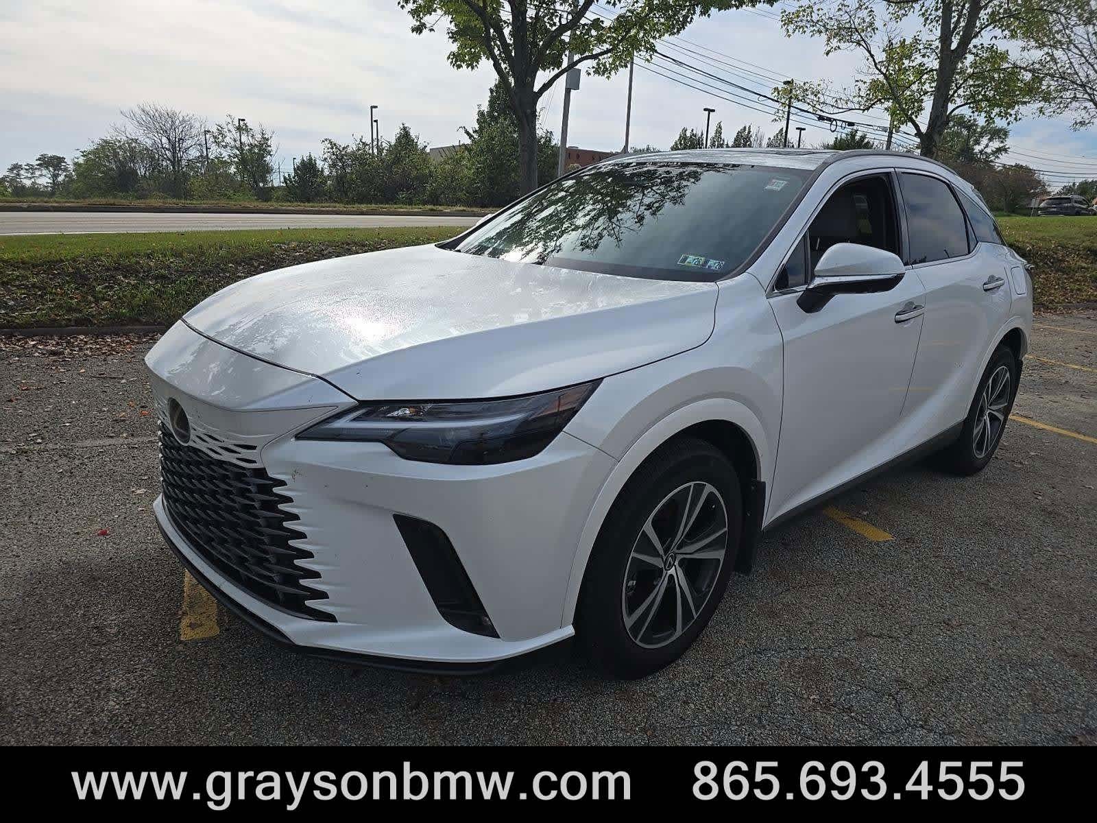 2024 Lexus RX 350's photo