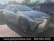 LEXUS NX 250