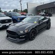 Ford Shelby GT350