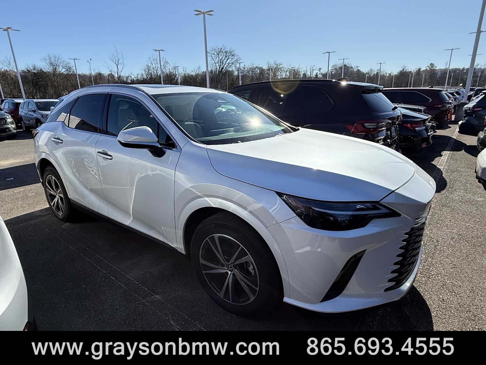 2023 Lexus RX 350's photo