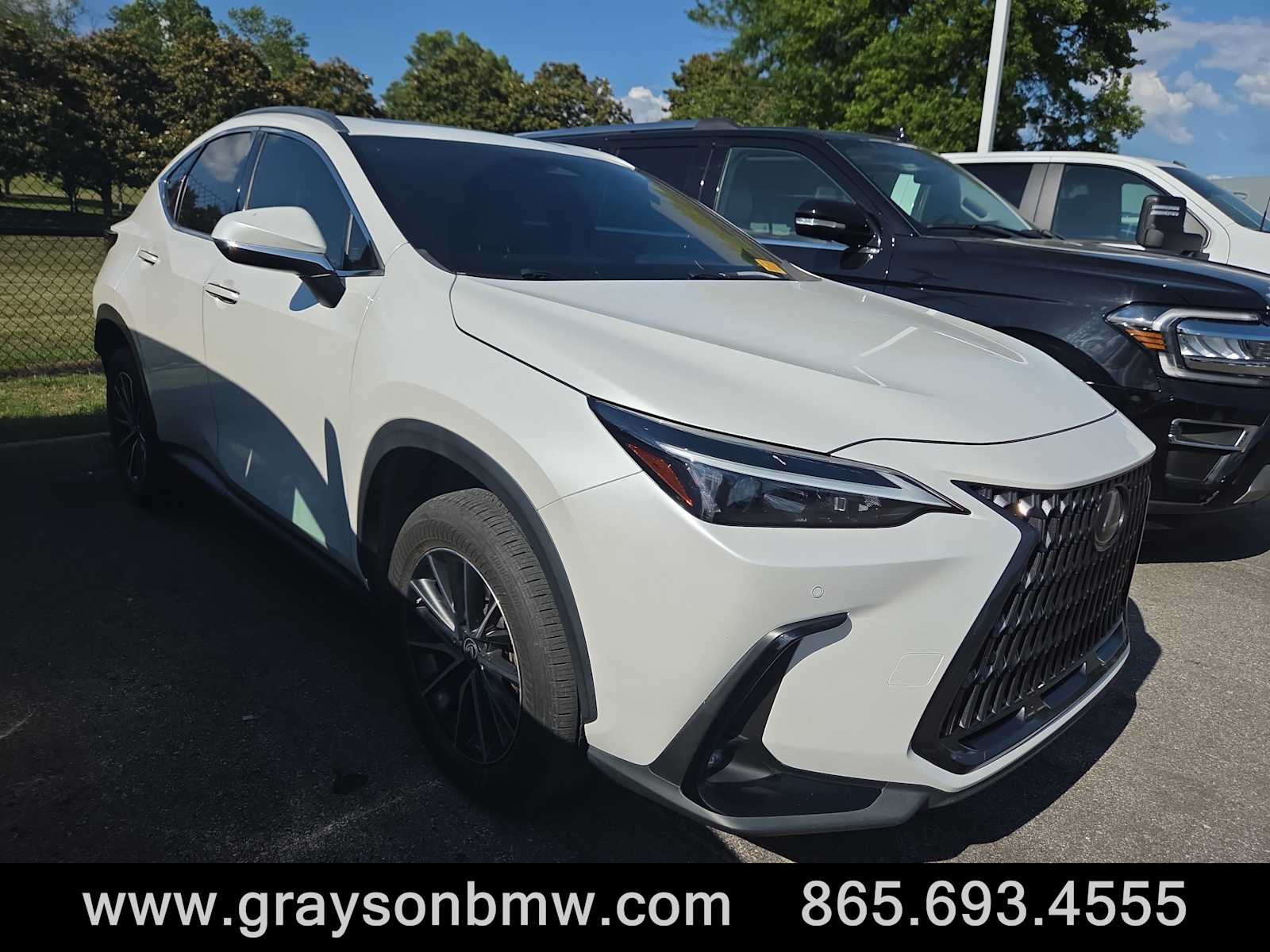 2022 Lexus NX 350h 350h Premium AWD's photo