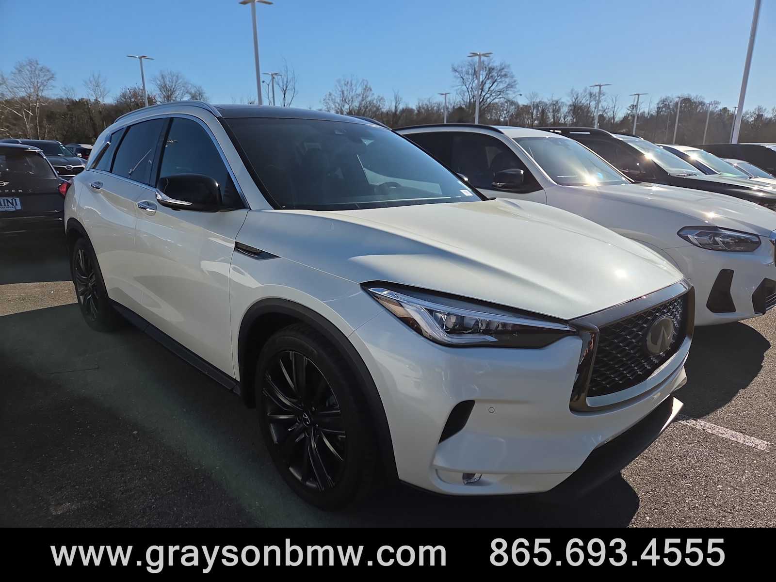 2020 INFINITI QX50 Essential's photo