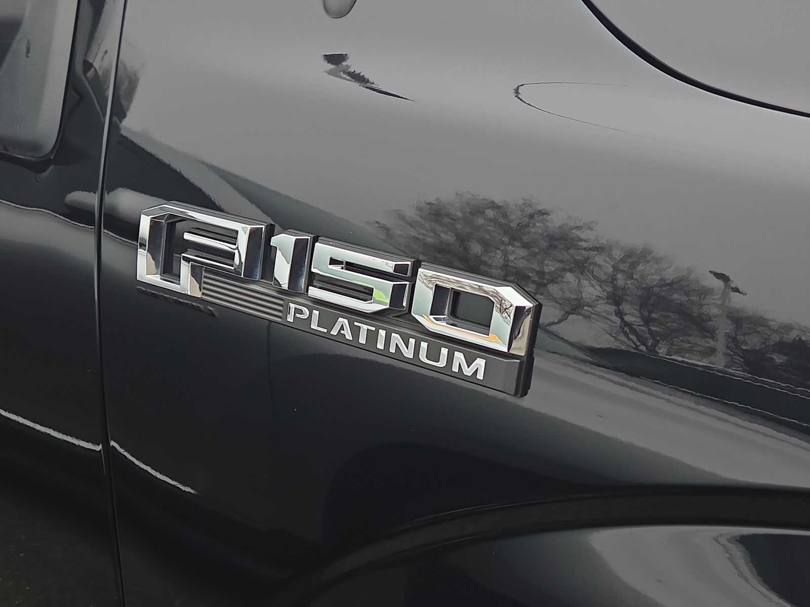 2019 Ford F-150 Platinum photo 3