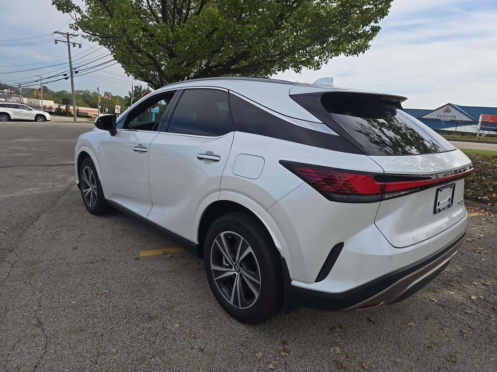 2024 Lexus RX 350 Premium photo 4