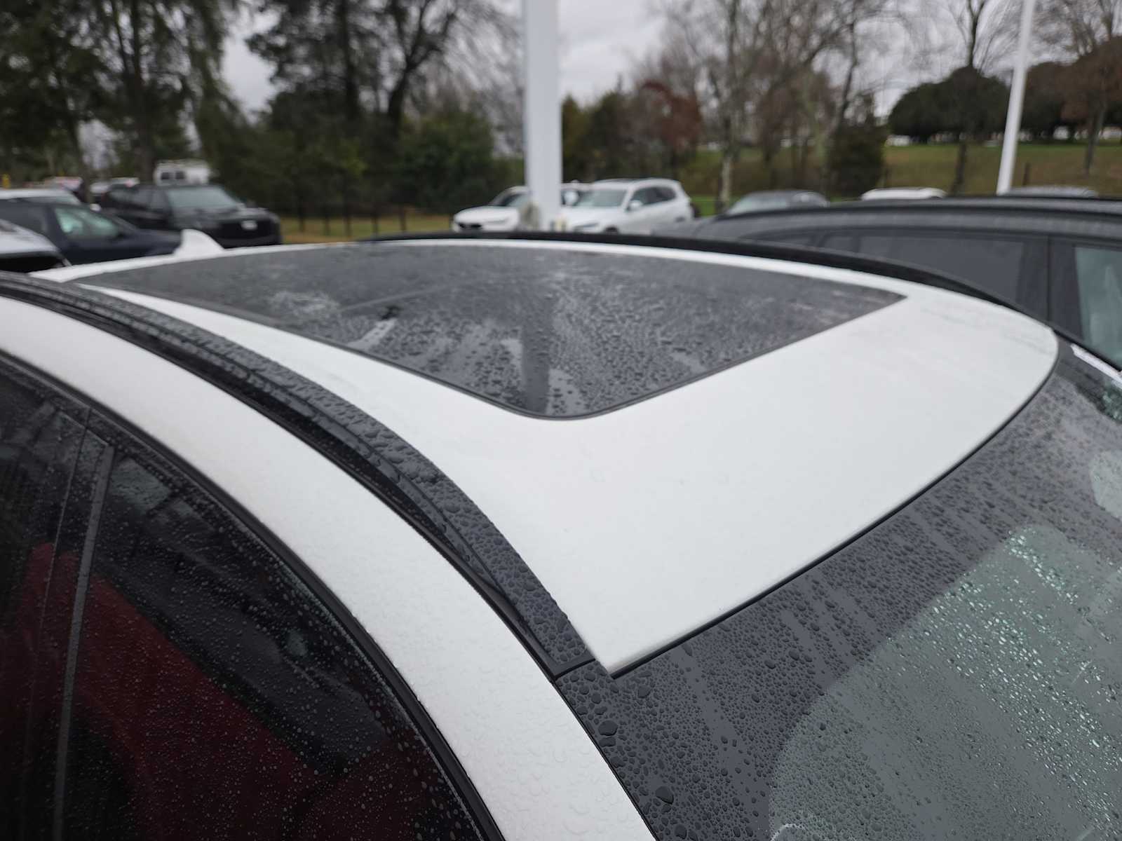 2020 Bmw X5 M50i photo 3