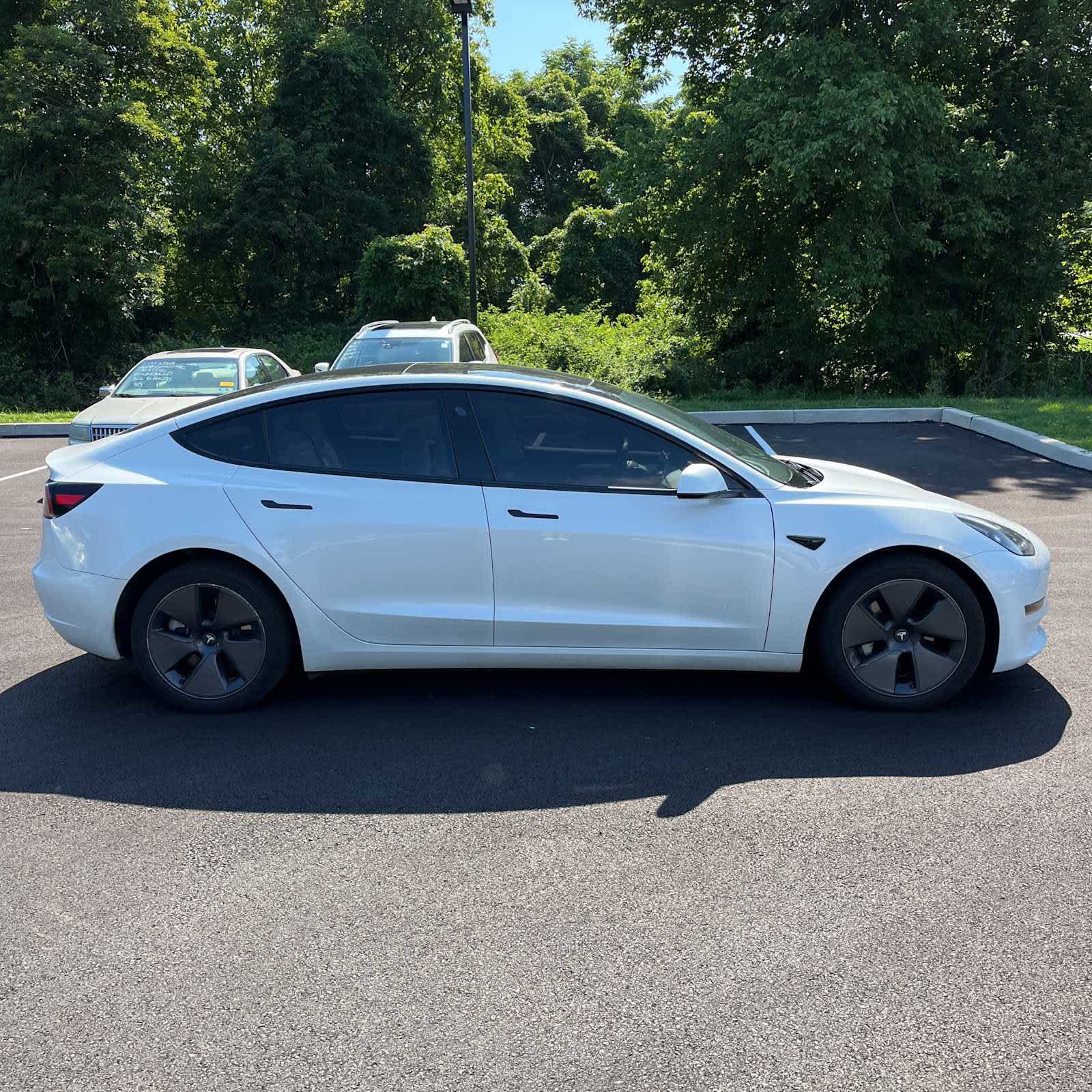 Used 2023 Tesla Model 3 Base with VIN 5YJ3E1EA6PF591307 for sale in Knoxville, TN
