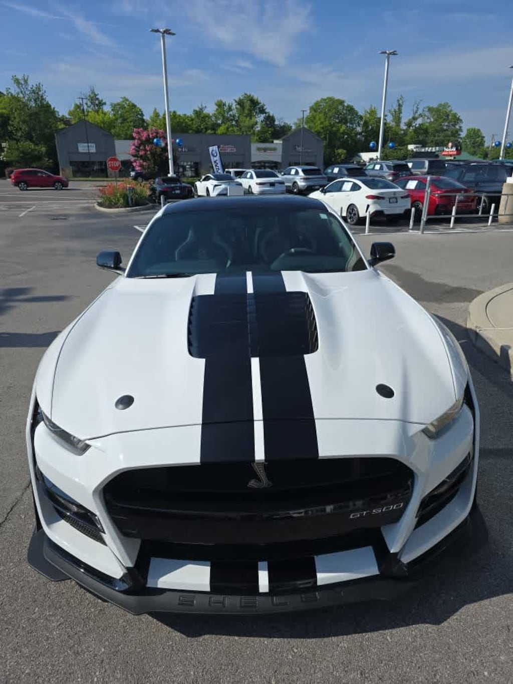 Used 2020 Ford Mustang Shelby GT500 Shelby GT500 Coupe