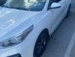 Used 2019 Kia Forte EX Sedan