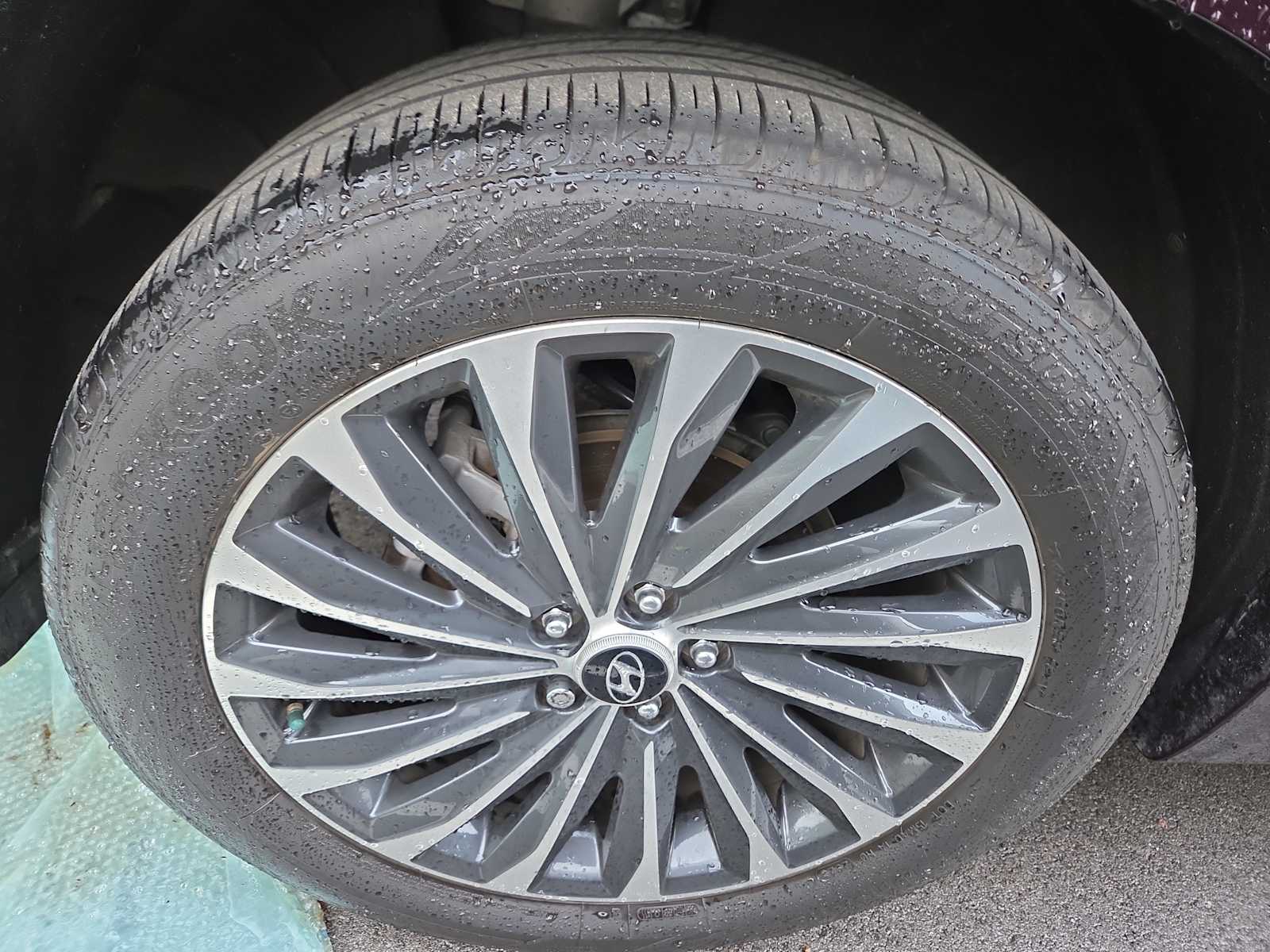 2024 Hyundai Palisade Calligraphy photo 4