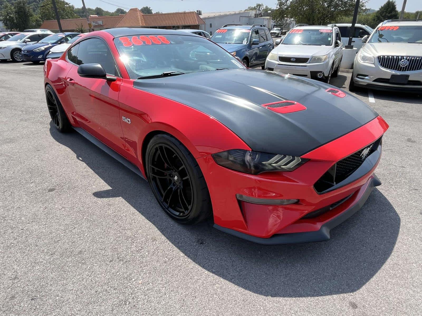 Used 2019 Ford Mustang GT Premium with VIN 1FA6P8CF6K5141686 for sale in Knoxville, TN