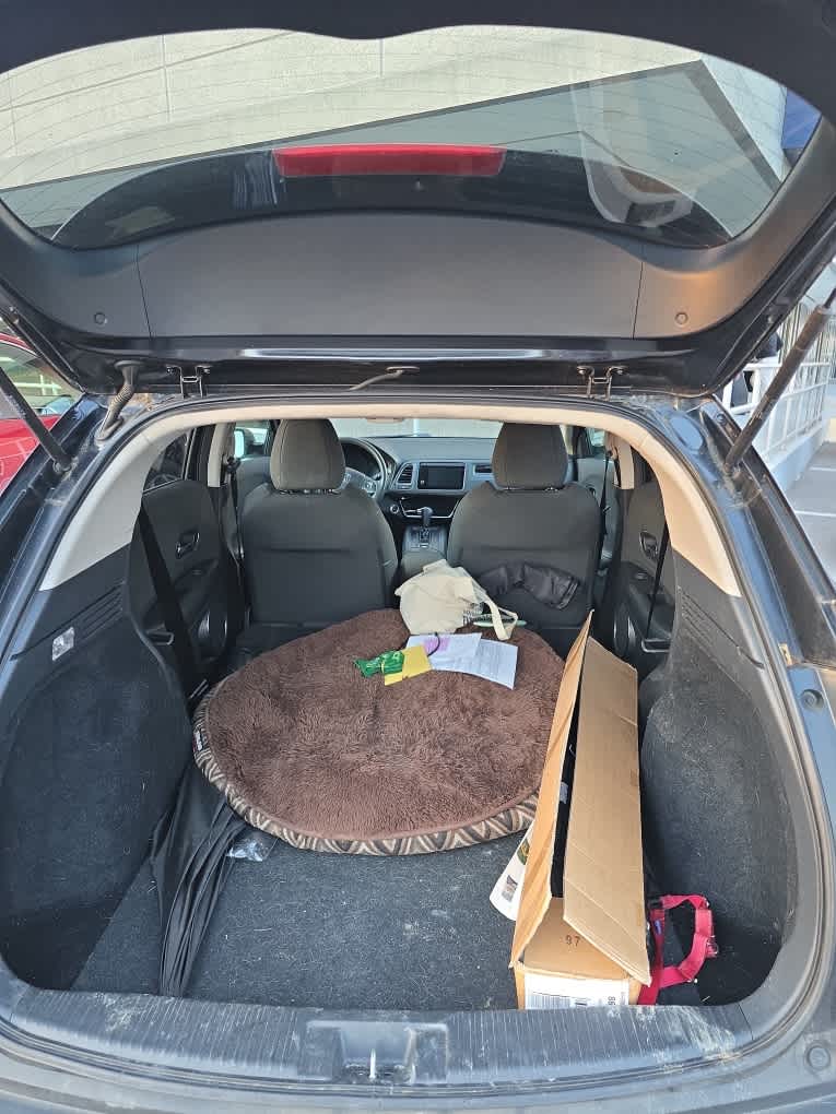 2022 Honda HR-V EX 2WD photo 3
