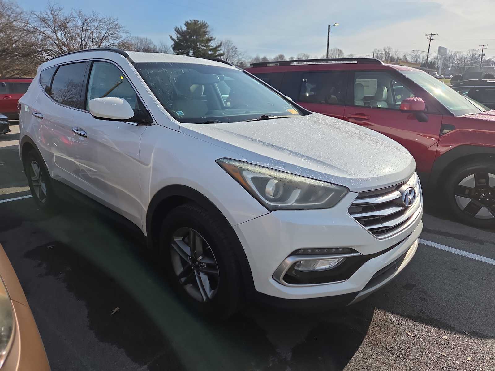 2017 Hyundai Santa Fe Sport's photo