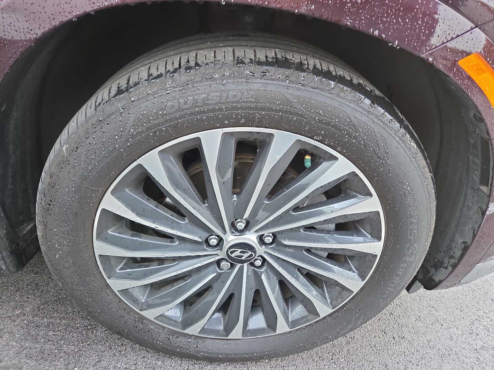2024 Hyundai Palisade Calligraphy photo 2