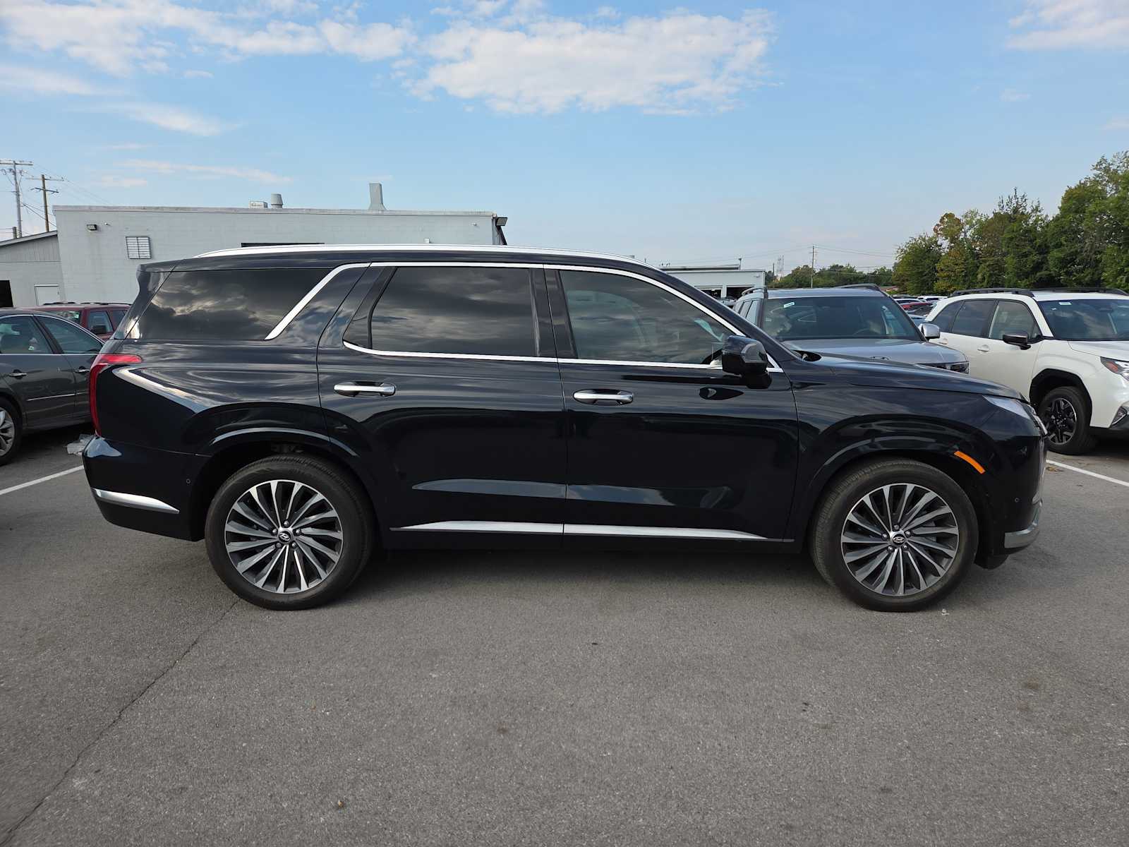 2023 Hyundai Palisade Calligraphy photo 3