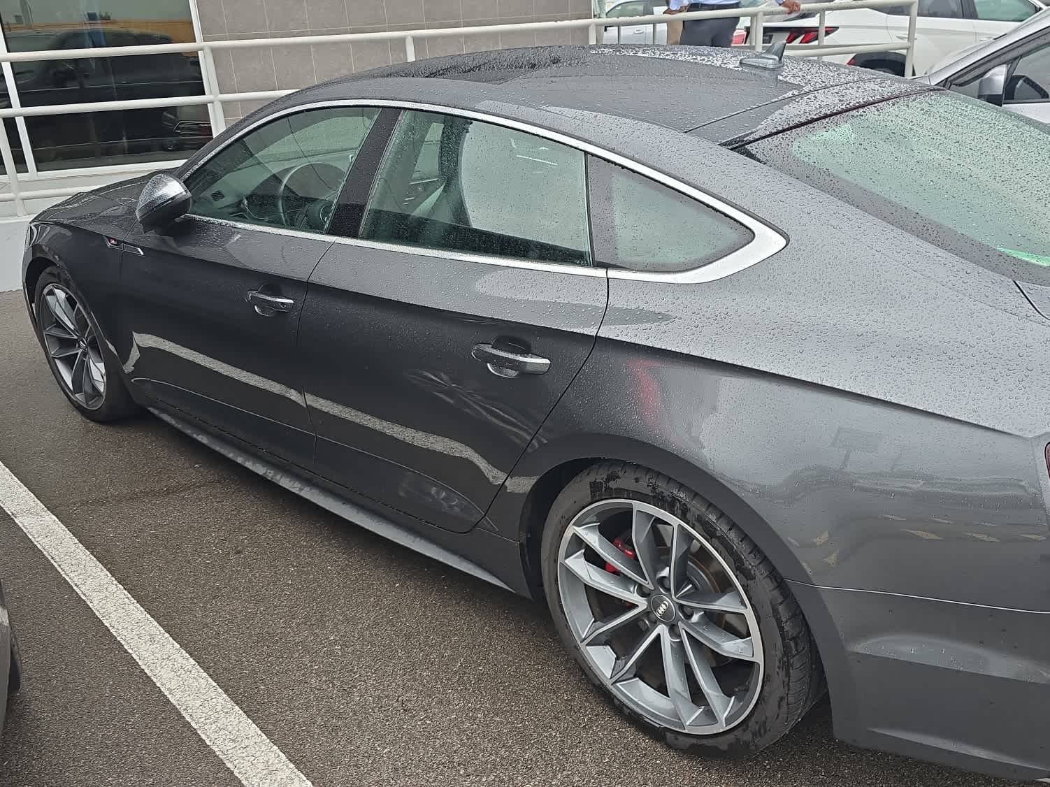 2019 Audi S5 Premium Plus photo 4