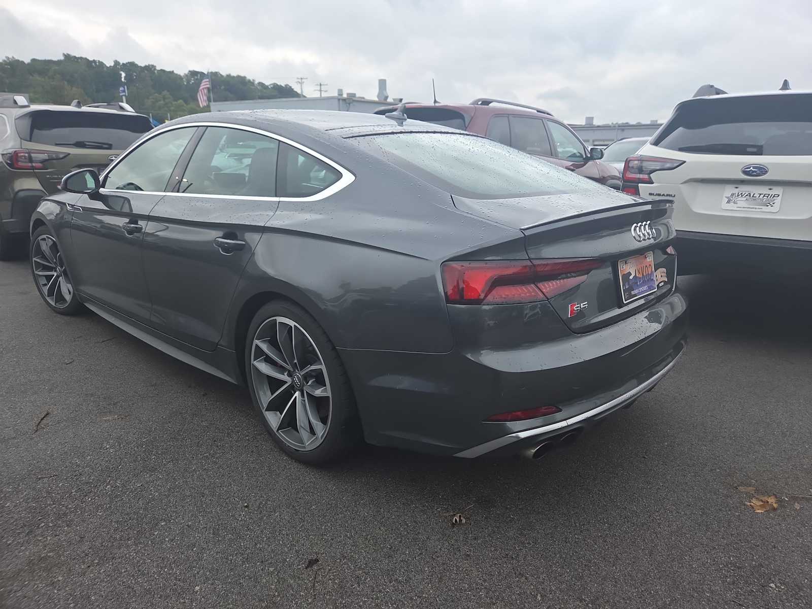 2019 Audi S5 Premium Plus photo 4