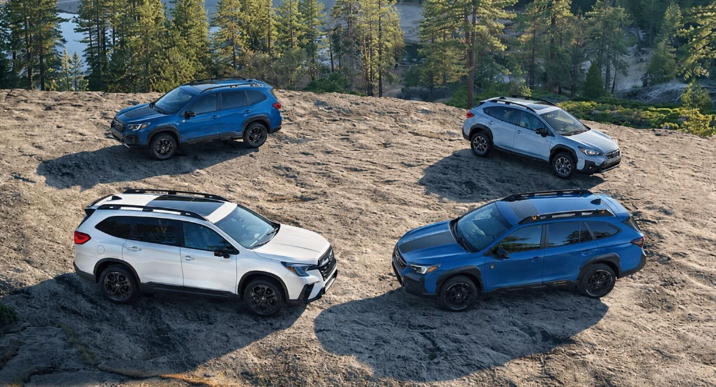 Subaru%20SUV%20lineup%20parked%20on%20rocky%20mountain%20terrain.png