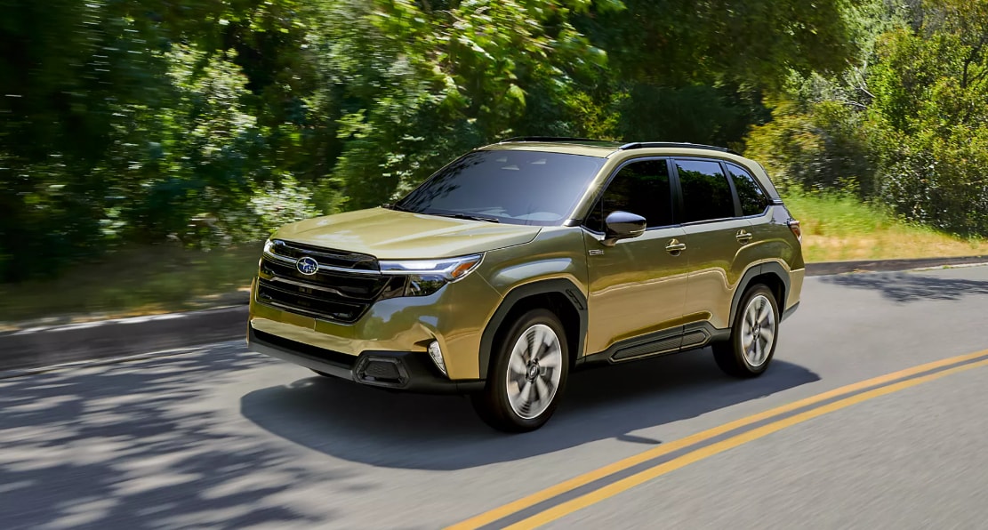 Subaru%20Forester%20driving%20on%20tree-lined%20road.png