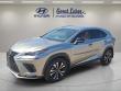 Used 2020 Lexus NX 300 F SPORT SUV