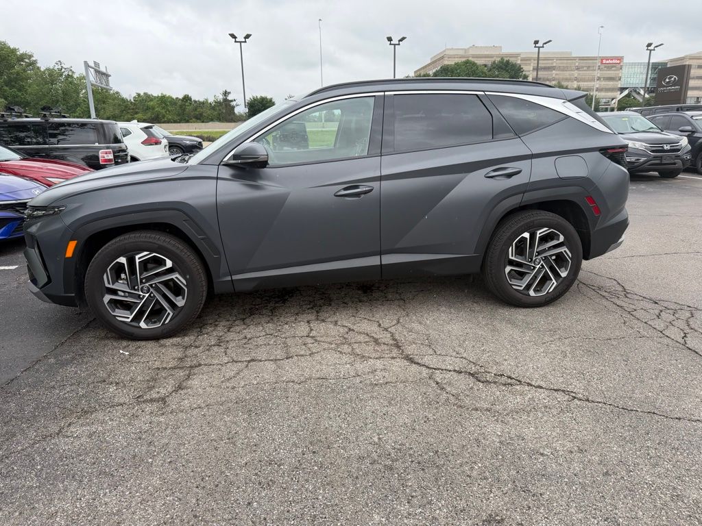 2025 Hyundai Tucson Limited AWD's photo