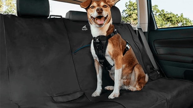 Best%20Hyundai%20SUVs%20for%20Dog%20Owners%20post.png