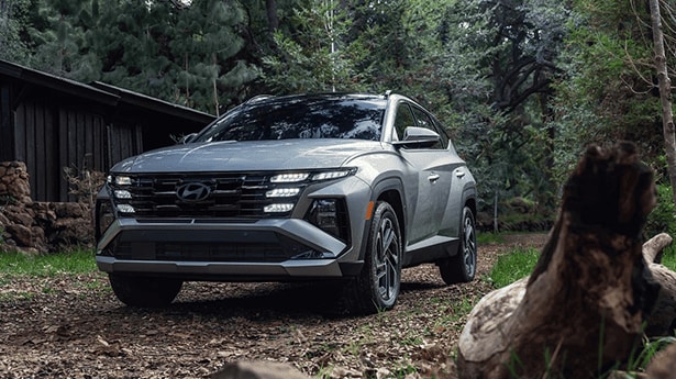 Family%20Days%20at%20the%20Columbus%20Zoo%20Are%20Easier%20in%20the%20Hyundai%20Tucson%20post.png