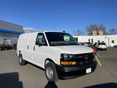 2025 Chevrolet Express Cargo 2500 WT Van