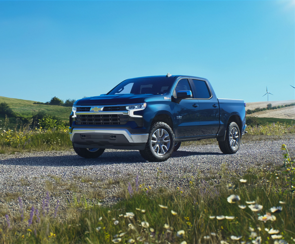 Chevrolet Silverado 1500 in the woods
