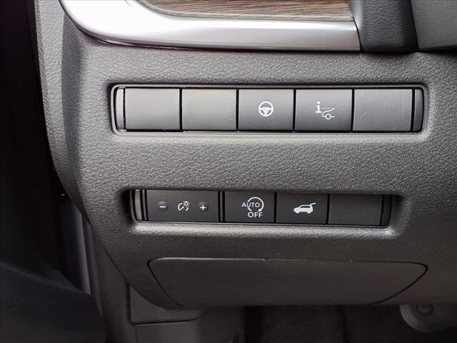 2025 Nissan Rogue Platinum - Photo 19