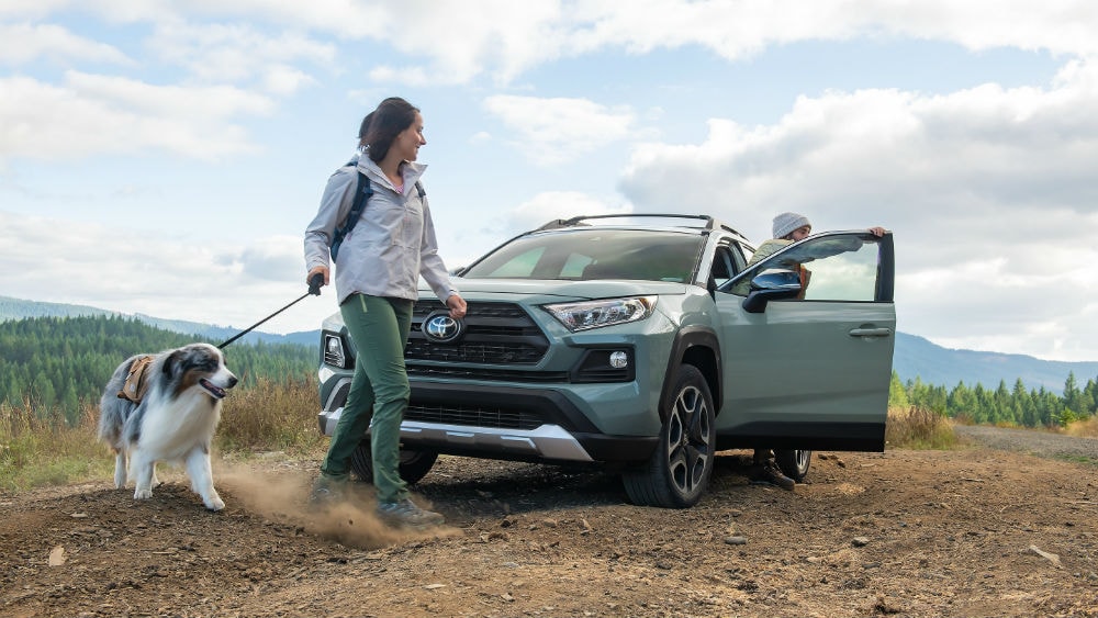 2019 Toyota Rav4 Green Toyota Decatur, IL