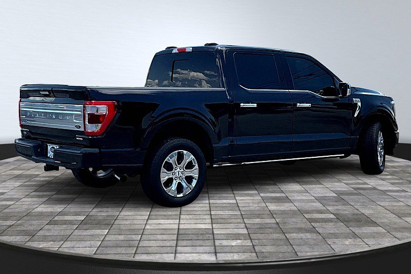 2021 Ford F-150 Platinum photo 3