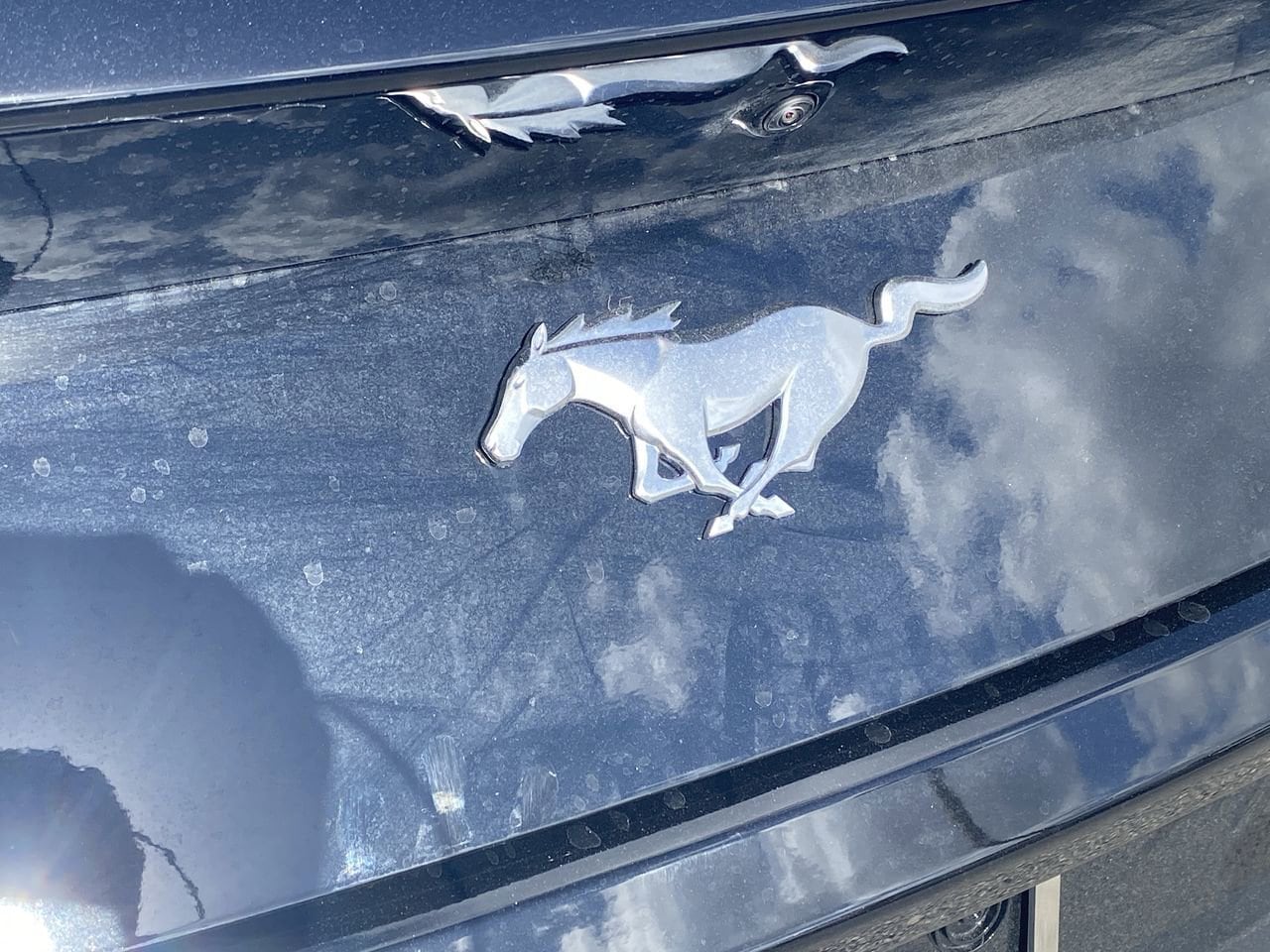 2026 Ford Mustang EcoBoost Premium Fastback - Photo 12