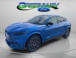  Ford Mustang Mach-E
