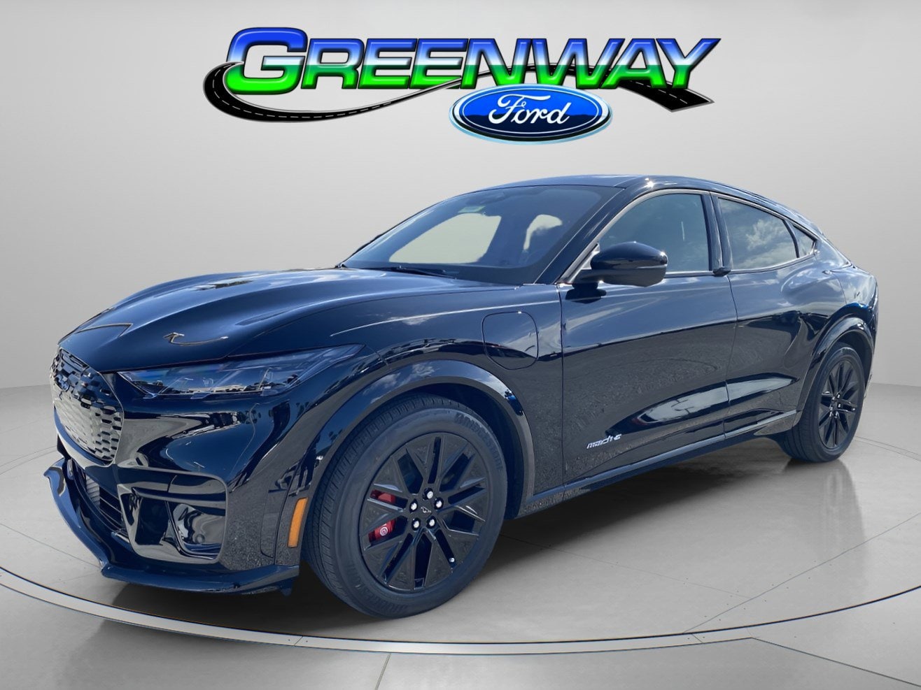 2025 Ford Mustang Mach-E Premium RWD's photo