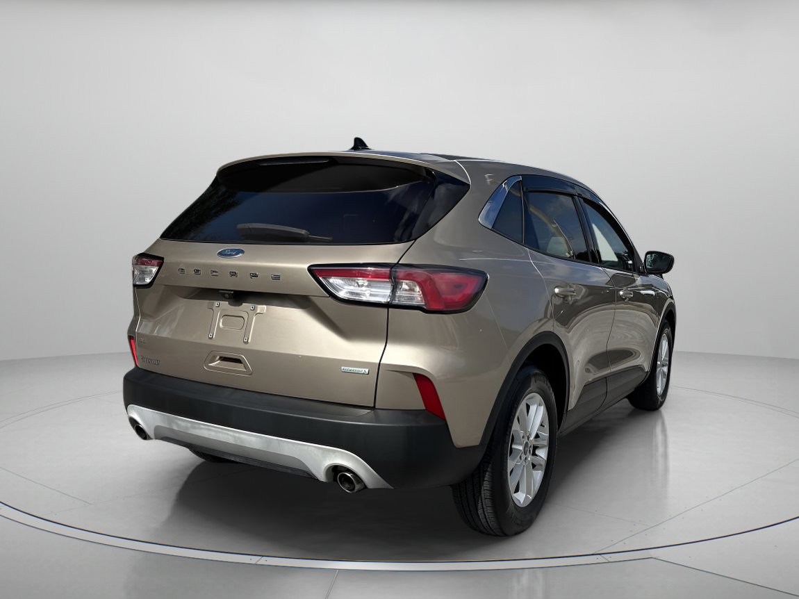 2020 Ford Escape SE Sport photo 3