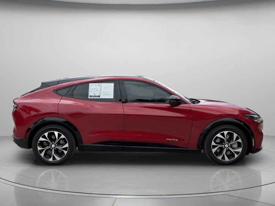 Used 2023 Ford Mustang Mach-E Premium RWD with VIN 3FMTK3R75PMA54566 for sale in Orlando, FL
