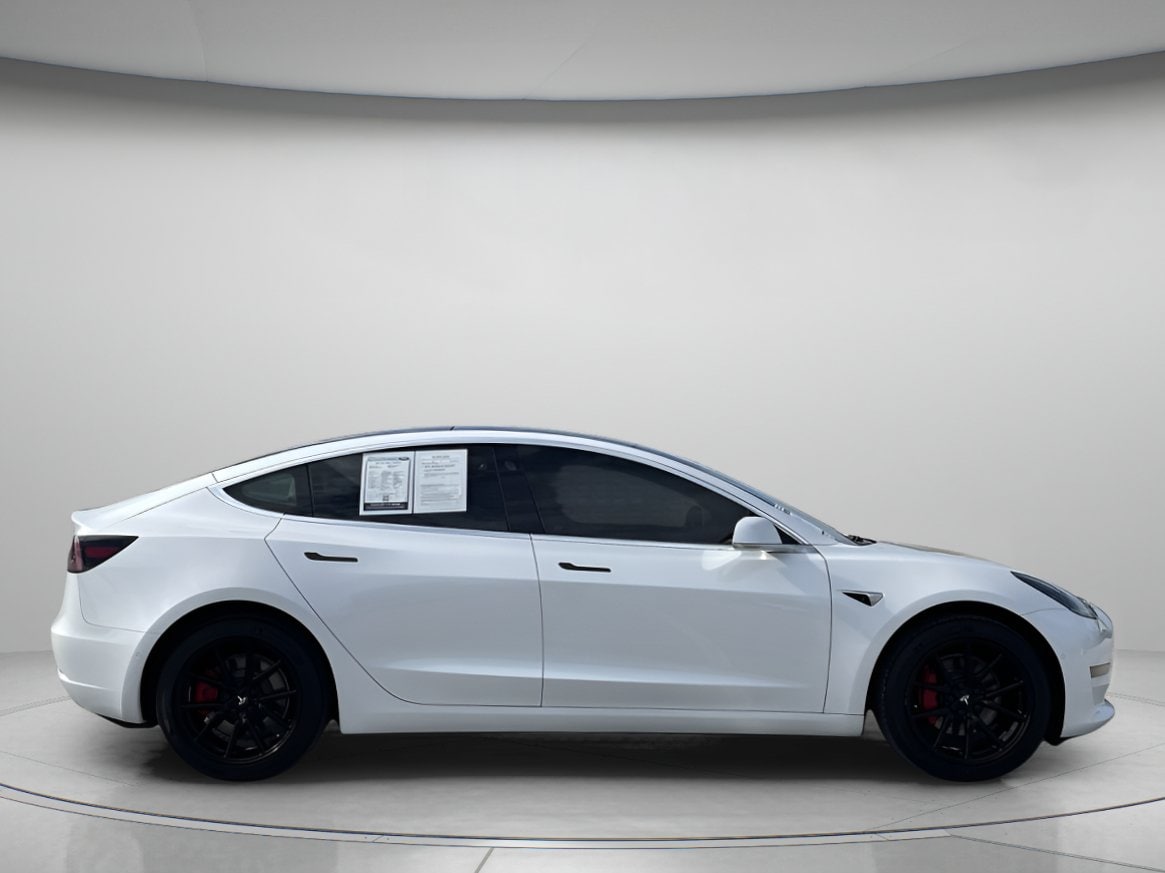 Used 2019 Tesla Model 3 Base with VIN 5YJ3E1EA1KF483685 for sale in Orlando, FL