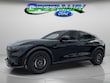  Ford Mustang Mach-E