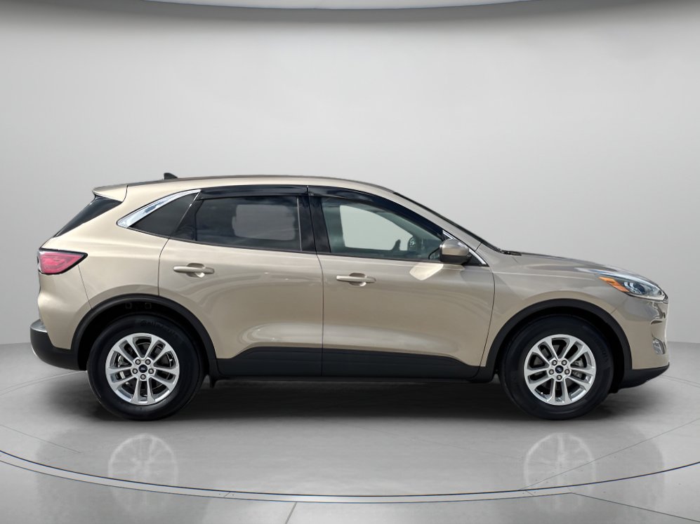 2020 Ford Escape SE Sport photo 2