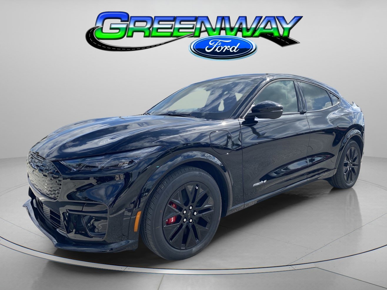 2025 Ford Mustang Mach-E Premium RWD's photo