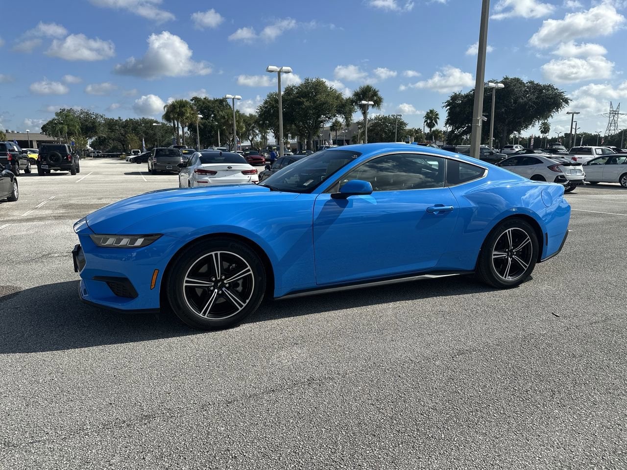 Used 2024 Ford Mustang EcoBoost with VIN 1FA6P8TH9R5106667 for sale in Orlando, FL