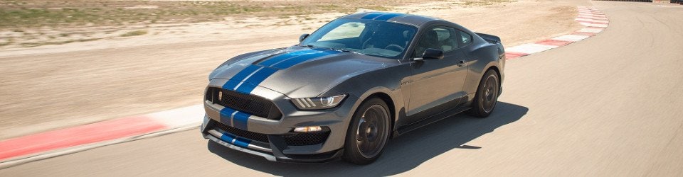 Ford Shelby.jpg
