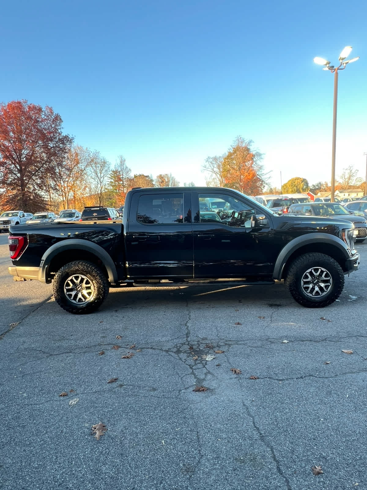 2023 Ford F-150 Raptor photo 2