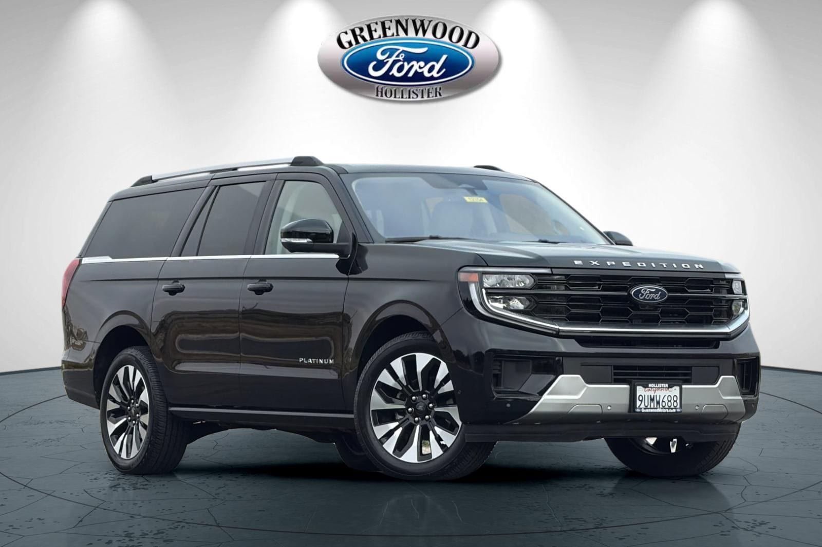 2025 Ford Expedition Platinum MAX 4x4's photo