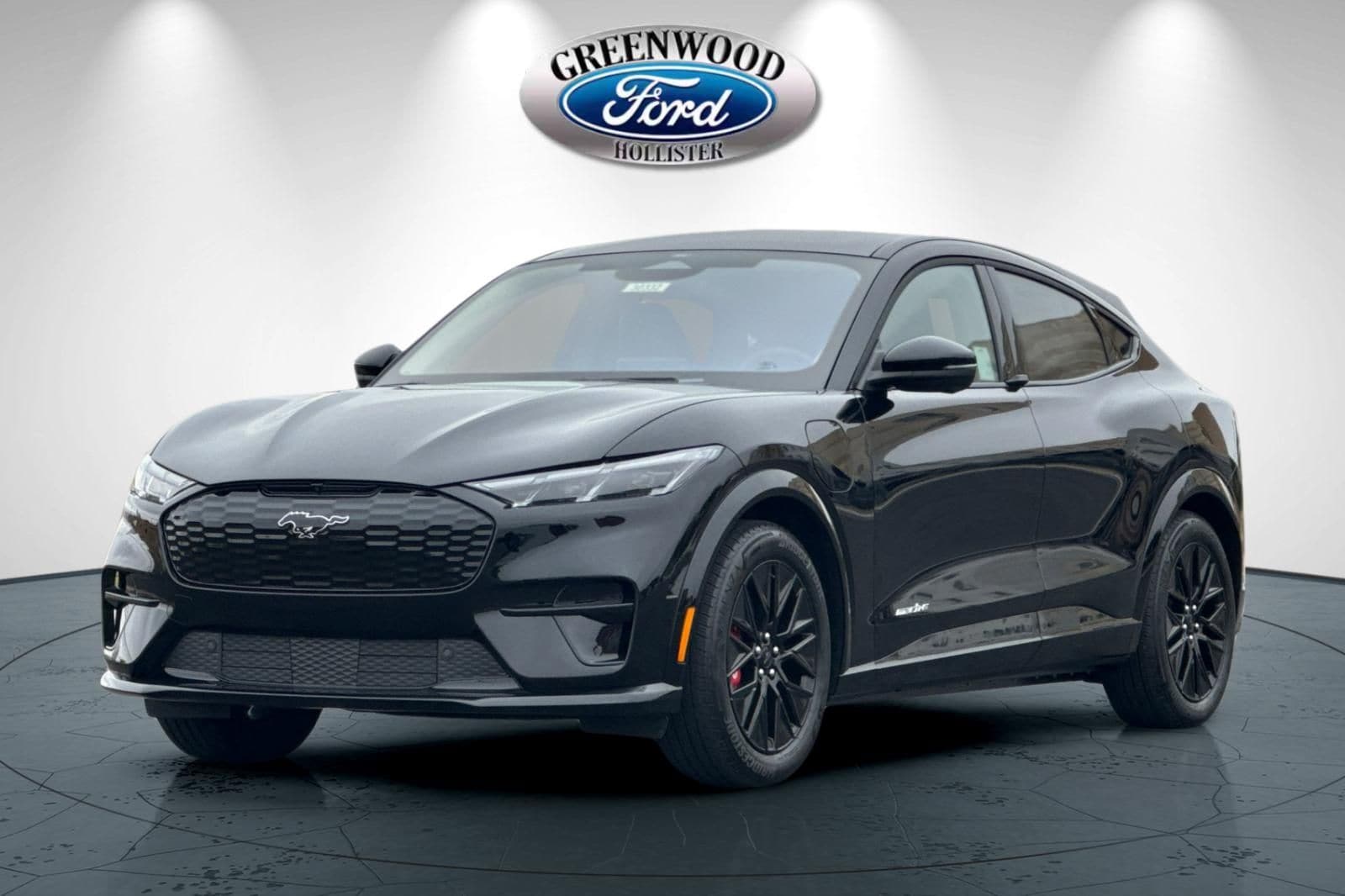 2025 Ford Mustang Mach-E Premium RWD - Photo 7