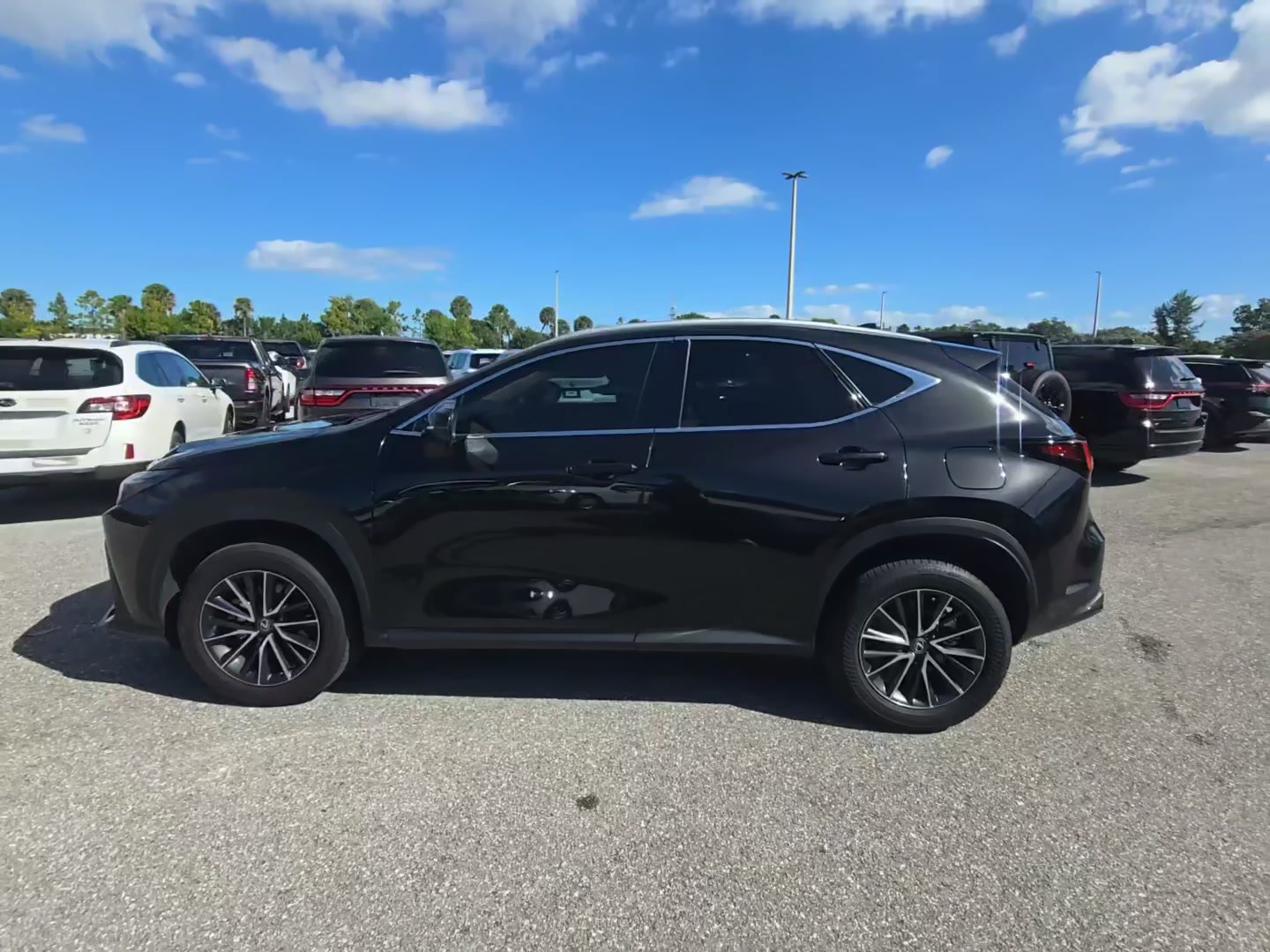 Used 2024 Lexus NX 250 Base SUV