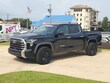  Toyota Tundra Hybrid